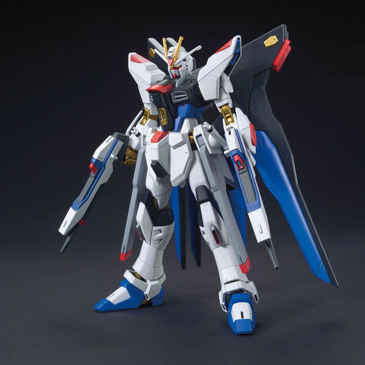 HG 1/144 Strike Freedom Gundam Revive