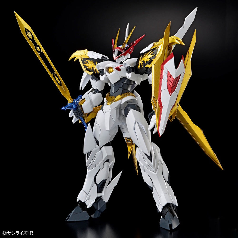 HG Amplified IMGN Ryuoumaru