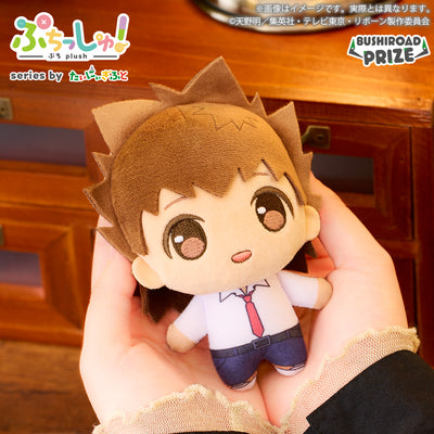 Puchish! Reborn! Tsuna Sawada